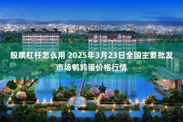 股票杠杆怎么用 2025年3月23日全国主要批发市场鹌鹑蛋价格行情