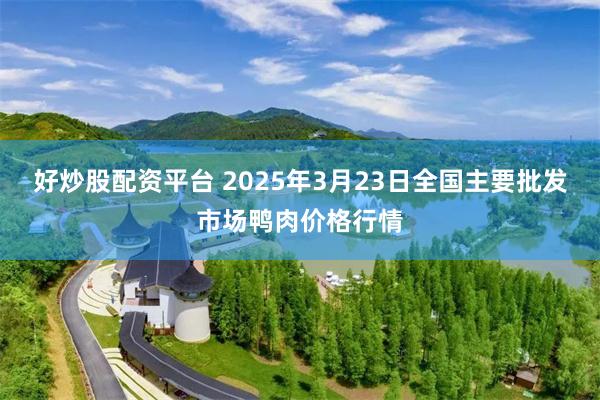 好炒股配资平台 2025年3月23日全国主要批发市场鸭肉价格行情