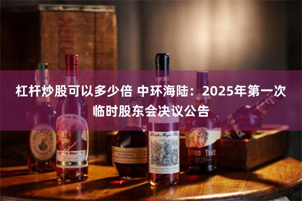 杠杆炒股可以多少倍 中环海陆：2025年第一次临时股东会决议公告