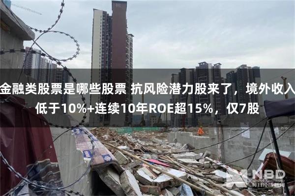 金融类股票是哪些股票 抗风险潜力股来了，境外收入低于10%+连续10年ROE超15%，仅7股