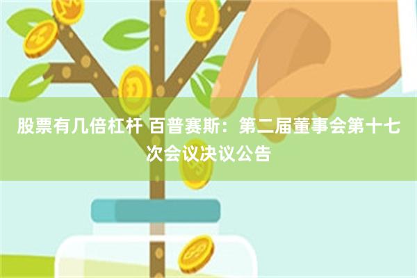 股票有几倍杠杆 百普赛斯：第二届董事会第十七次会议决议公告