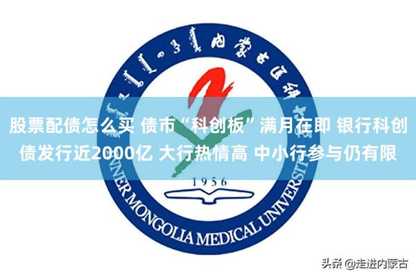 股票配债怎么买 债市“科创板”满月在即 银行科创债发行近2000亿 大行热情高 中小行参与仍有限