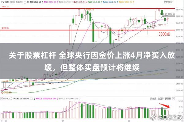关于股票杠杆 全球央行因金价上涨4月净买入放缓，但整体买盘预计将继续