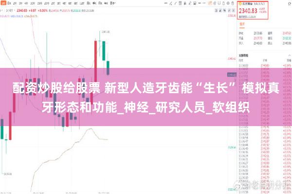 配资炒股给股票 新型人造牙齿能“生长” 模拟真牙形态和功能_神经_研究人员_软组织
